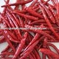 RED CHILLI WITHOUT STEM (334 BEST QUALITY)