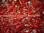 RED CHILLI WITH STEM ( 334 BEST QUALITY)