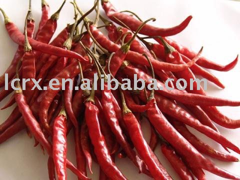  Yunnan   Chili 