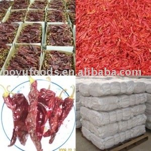 sell 2008 crop chilli,chilli powder,chilli crush,dried chilli,chilli pods