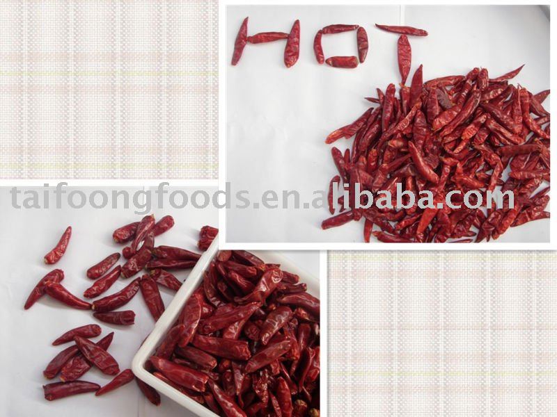CHAOTIAN CHILI,3-7CM, TIANYING CHILI, TIANJIN CHILI,SMALL HOT CHILI