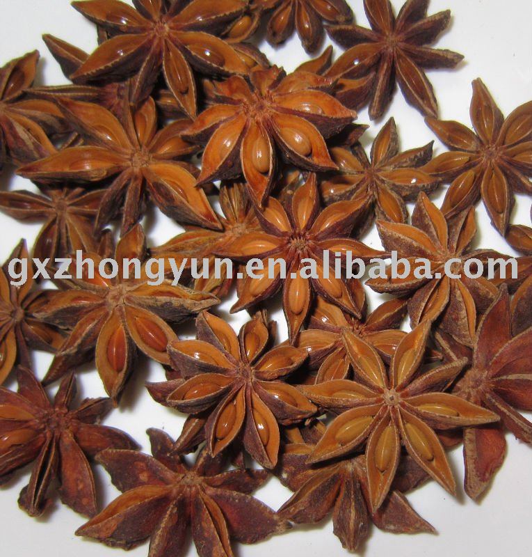 aniseed,star aniseed,spice,anise new crop,star anise,China zhongyun ...