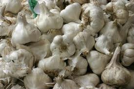 Satikuwar Exports Quality Garlic Powder,Healthy Garlic Powder, Aromatical Garlic Powder,Medicinal Ga