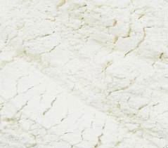 Healthy Garlic Powder,Maharashtra Garlic Powder, Medicinal  Garlic Powder,Satikuwar Exports Quality Ga