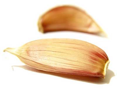 White Garlic Chopped Indian Garlic Granules Export Quality Garlic Powder Organic Garlic Powder