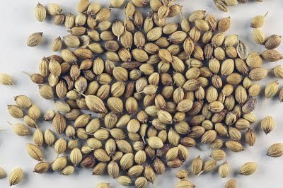 Dried Coriander Seed,Organic Coriander Seed,Dehydraed Coriander Seed,Healthy Coriander Seed,Whole Co