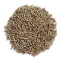 Dried  Cumin   Seed , Organic   Cumin   Seed ,Dehydraed  Cumin   Seed ,Healthy  Cumin   Seed ,Whole  Cumin   Seed ,Unja Cu