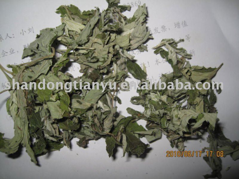 Basil Leaf flavoring