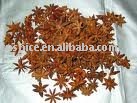 Star Anise/Lllicium Verum/Spice