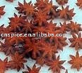 chinese star  aniseed   broken 