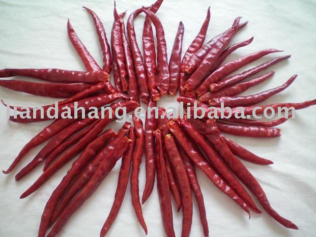 Whole Chili, whole chilli, Stemless Chili