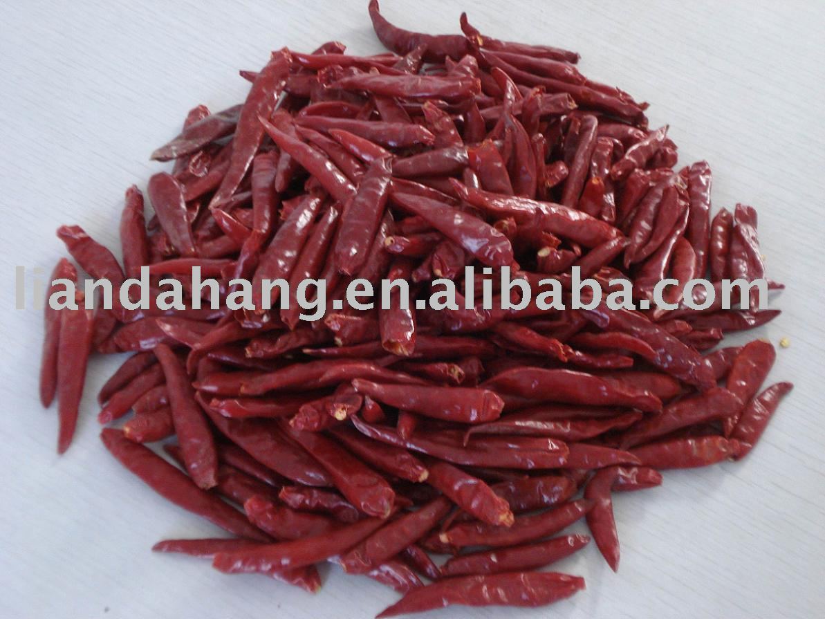 Tianying Stemless Chilli, Stemless Chili, Without Stem Chili