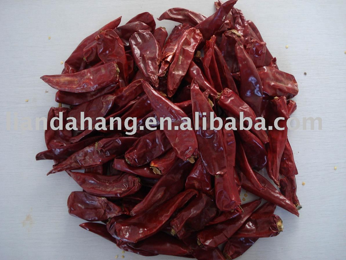 Red Yidu Chilli, Stemless Chilli