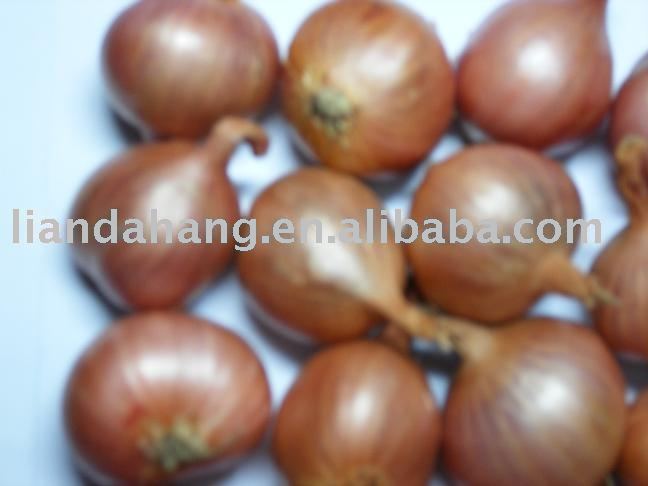 Dried Chinese Shallot
