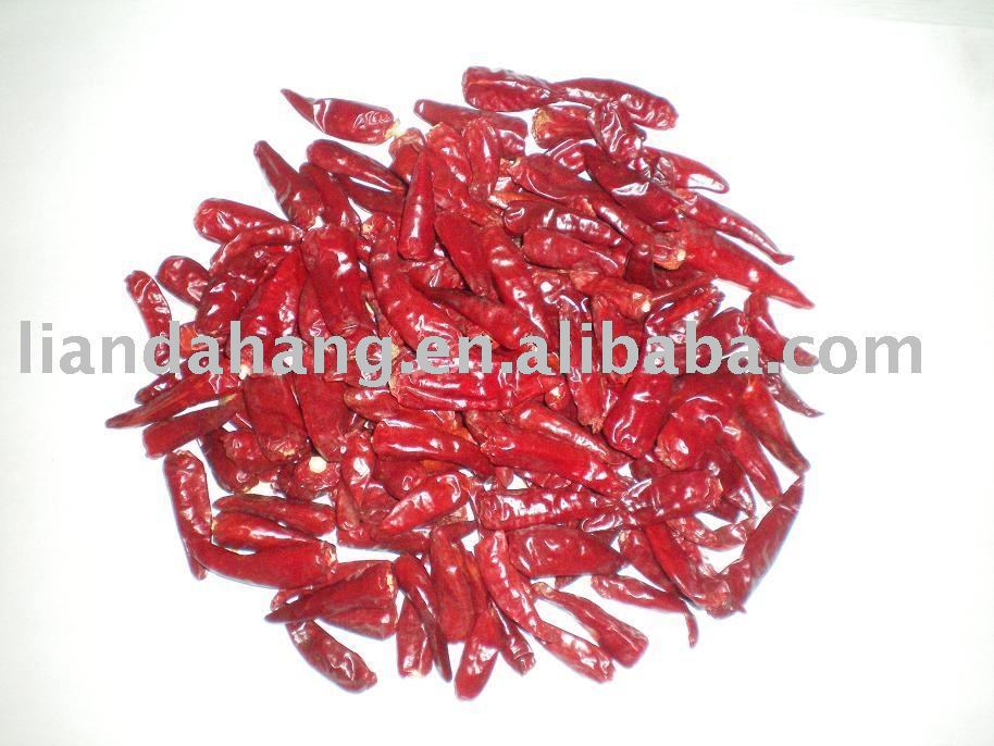 Small Hot Chilli, Small Hot Chili