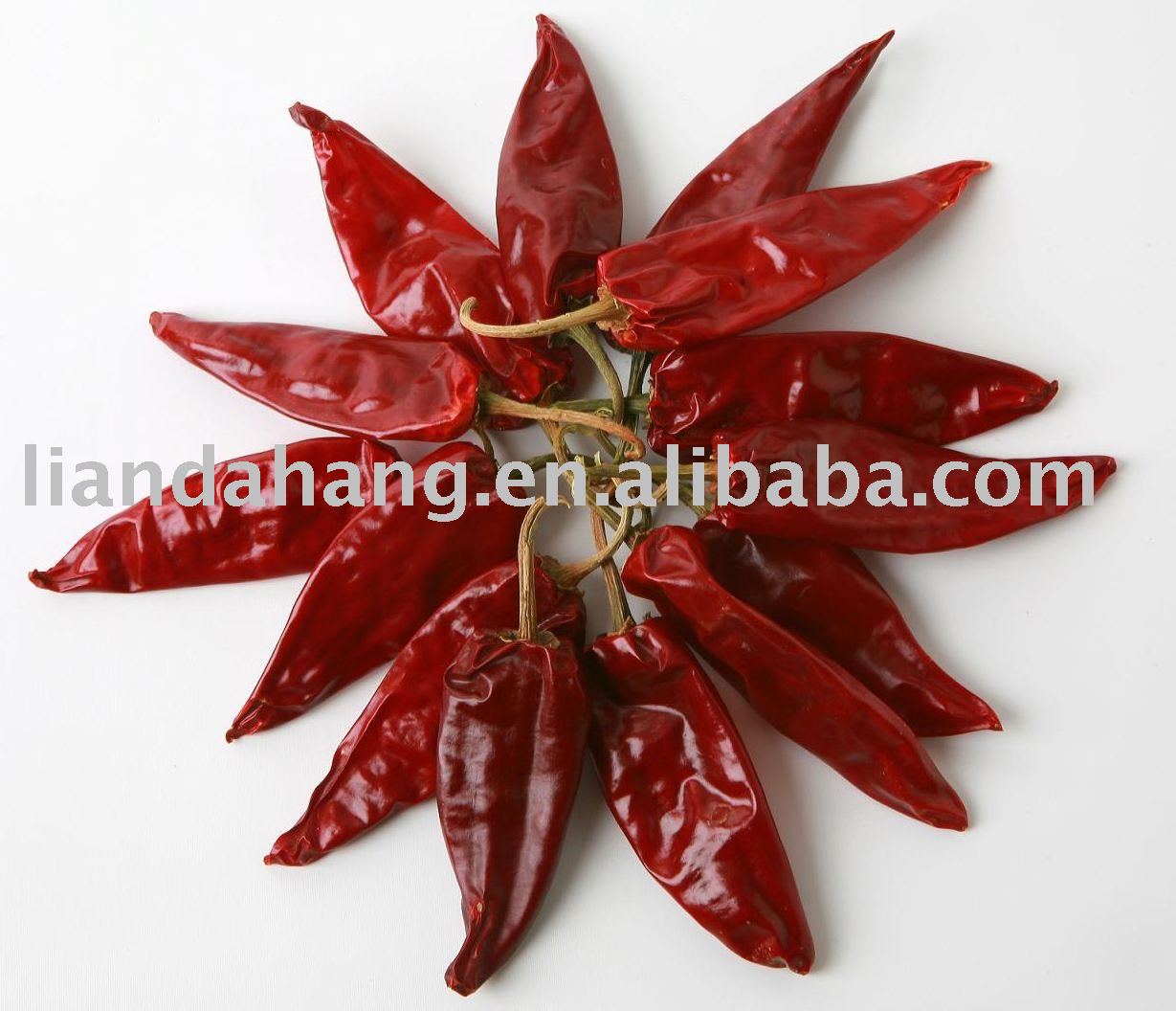 Fried Chili Powder,  Canned  Chili,  Canned  Chili