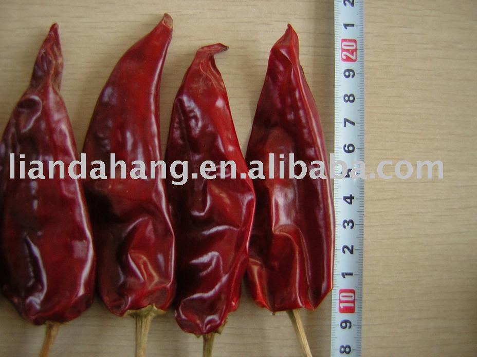 Dry Red Chillies, Red Dried Chilli