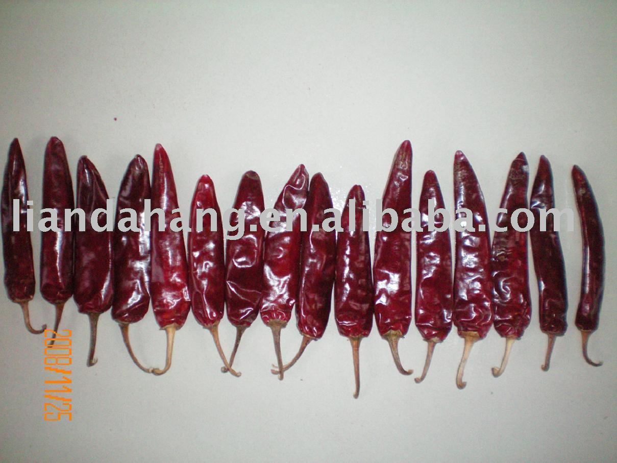 Jinta Chili with Stem, Golden Tower Chili, Jinta chilly