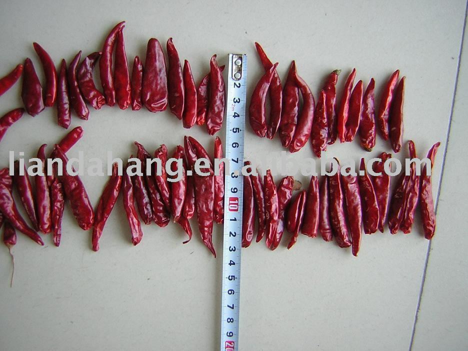  Tianying   Chili ,  Tianying  Chilli