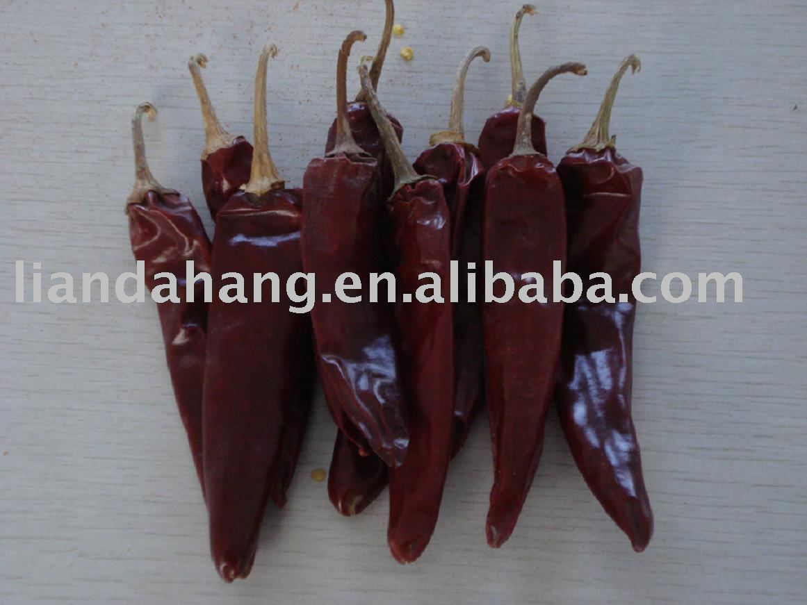 Jinta Chili, Puya Chili s, Puya Chillies, Puya chilies