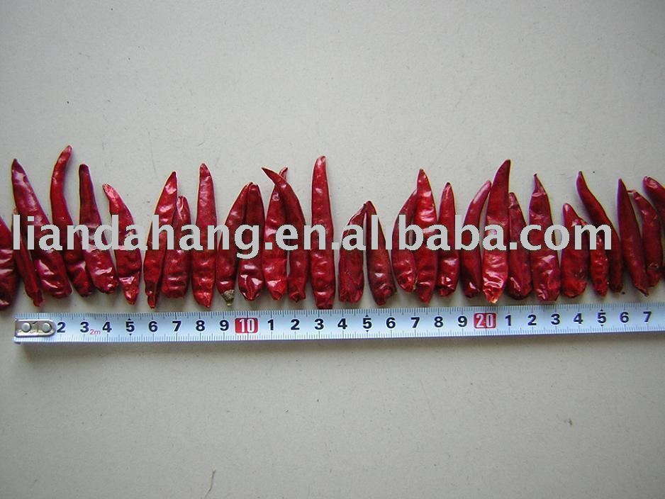 Chinese Chili