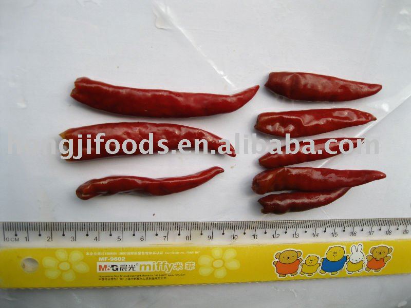 Brine  small   red   chili 
