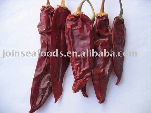 American Red Chilli Pod