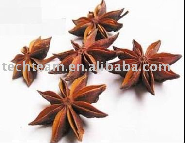 chinese spices & herbs-- star anise
