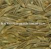 Cumin Seed