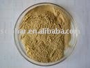 Cinnamon Extract