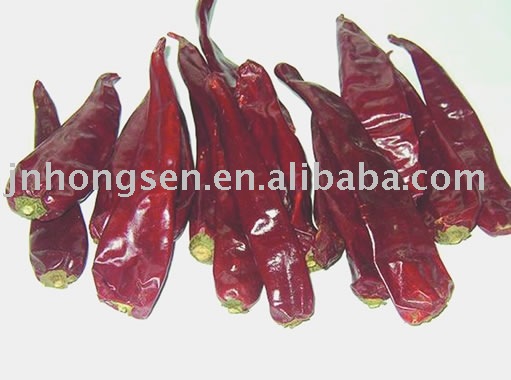 red chilli----2010 hot sell