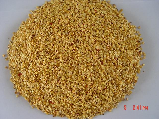  sweet   paprika   seed 