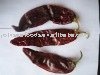 Dried Paprika Pods-10 Crop