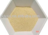 2010  Fresh   Garlic   Powder 