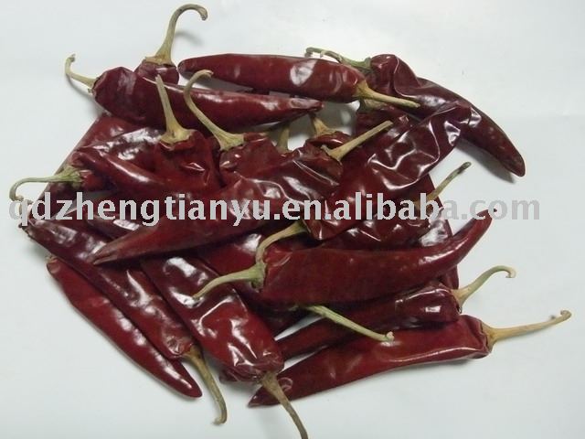 Jinta chili (Puya chili, Gold tower chili ),