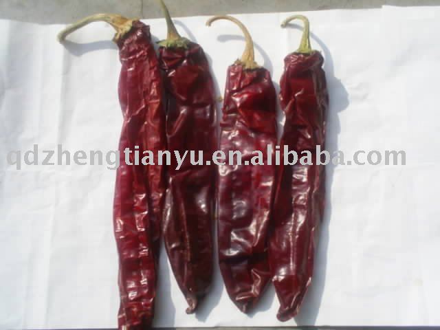 09 new sweet red paprika/chili