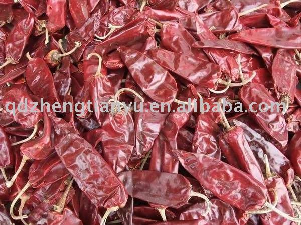 sell dry red chili whole