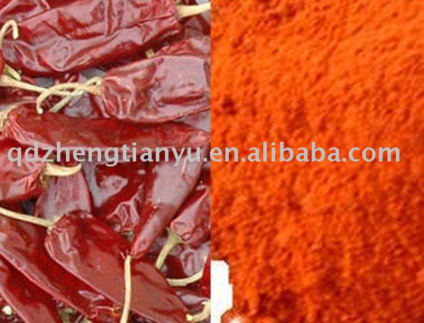Jinta chili (Puya chili, Gold tower chili ) whole, powder