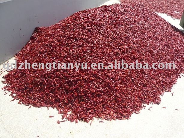 hot Chaotian chilli pepper