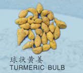 TURMERIC BULB
