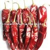 Chinese Chili Pods