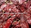Dry Whole Sweet Paprika