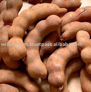 TAMARIND FLAVOR/SEASONING