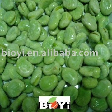 Frozen Green  Favas  ( broad   beans ) 3