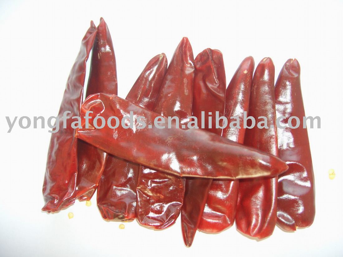  jinta   chili 