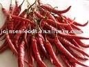  Chinese   Chili 