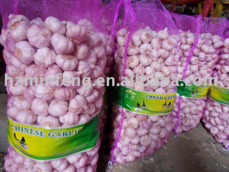 purple garlic