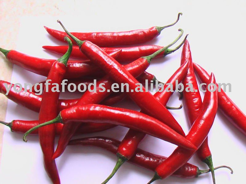Jinta frozen chili