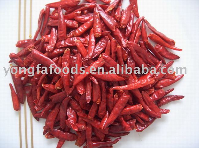 hot tianjin chili