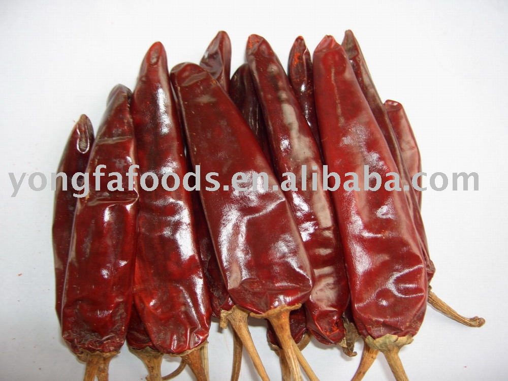 Jinta dried chili